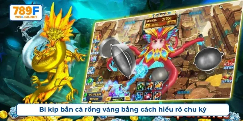 Bí kíp bắn cá rồng vàng bằng cách hiểu rõ chu kỳ