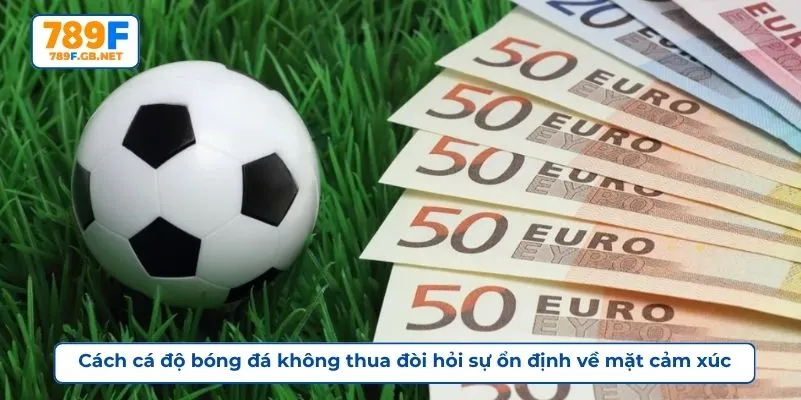 Cách cá độ bóng đá không thua đòi hỏi sự ổn định về mặt cảm xúc