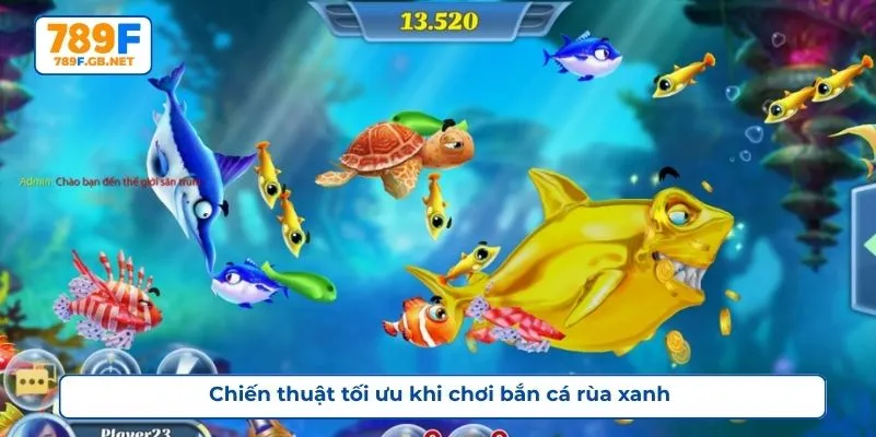 Chiến thuật tối ưu khi chơi bắn cá rùa xanh