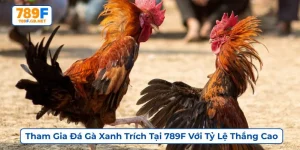 Đá gà xanh trích