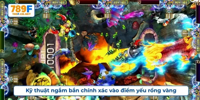 Kỹ thuật ngắm bắn chính xác vào điểm yếu rồng vàng