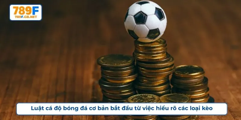 Luật cá độ bóng đá cơ bản bắt đầu từ việc hiểu rõ các loại kèo