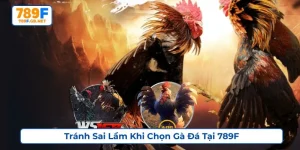 sai lầm khi chọn gà đá